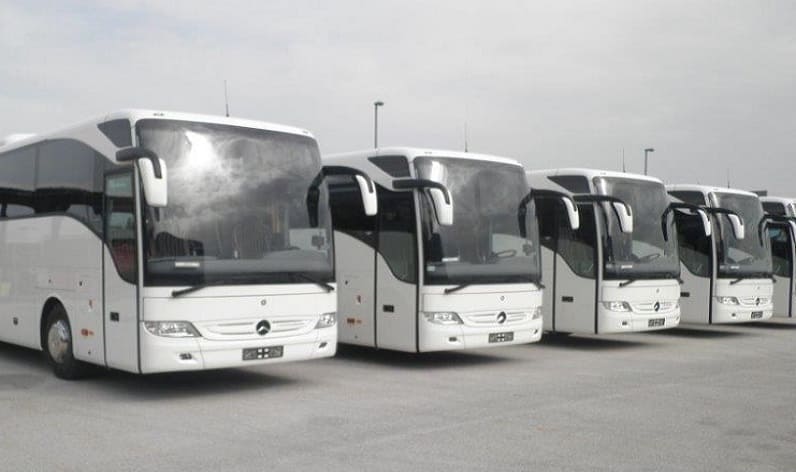 Serbia: Bus company in Vojvodina in Vojvodina and Serbia